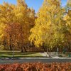 Осень 2019